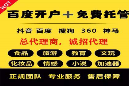 SEM竞价代运营公司案例深度解析